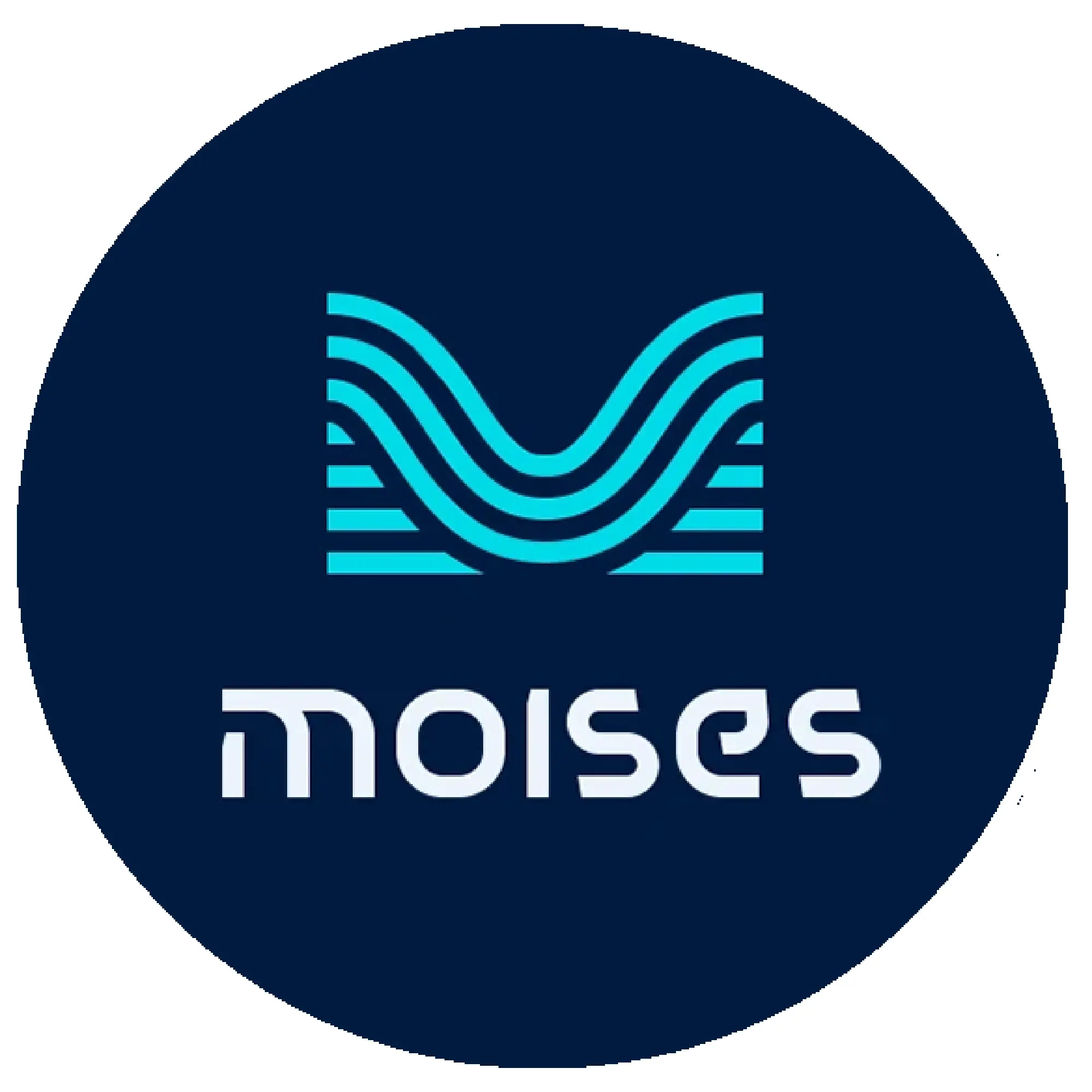 Moises Premium подписка 1-12 мес | Активация онлайн