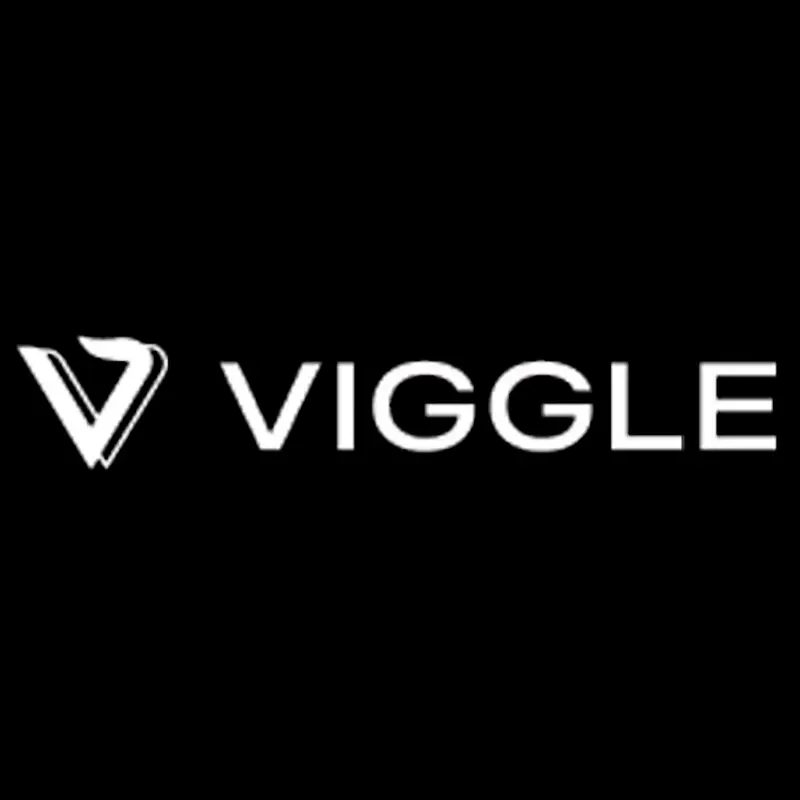 Viggle Ai Pro/Live Plan Подписка - Онлайн Активация | Pro Digital Goods