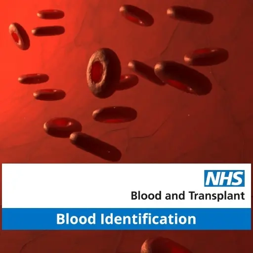 Анализ крови NHSBT VR AL Oculus Quest | Meta Quest | Онлайн