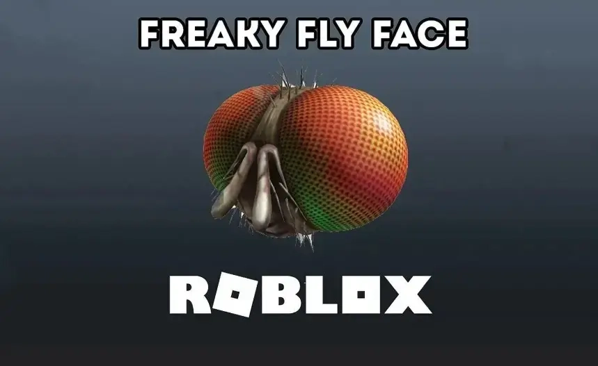 Roblox Ключ скина Freaky Fly Face | Мгновенно | Онлайн