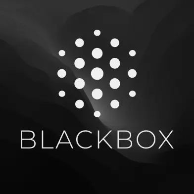 Blackbox AI Pro: Разработка ПО | Услуги активации