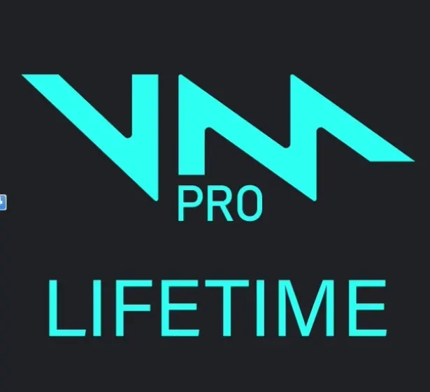 Voicemod PRO: Ключ активации, Подписка 1 месяц | Онлайн