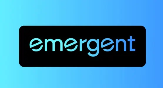 Emergent AI Standard Plan 1 год на ваш Email
