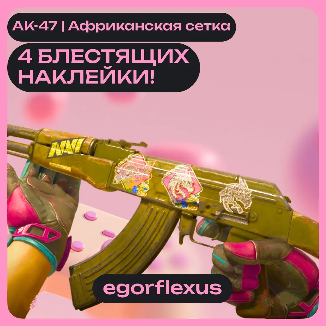 АК-47 | Африканская сетка с 4 наклейками - Продажа от ggsel