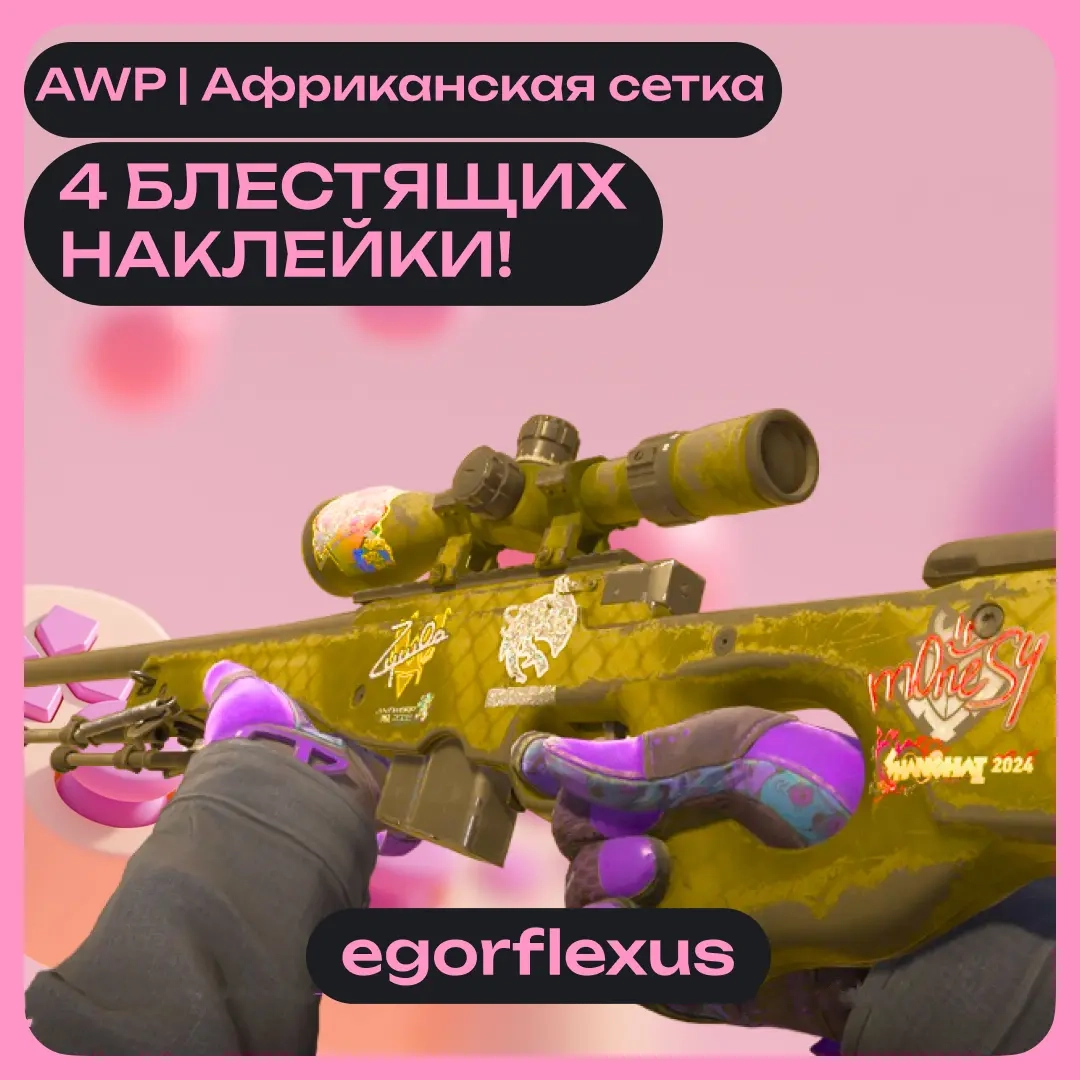 AWP | Африканская сетка с 4 скидочными наклейками от ggsel