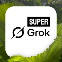 Grok AI Super – 7 дней доступа | Услуги активации онлайн