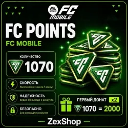 FC Points 1070 - Быстрая Доставка и Надежность Онл...