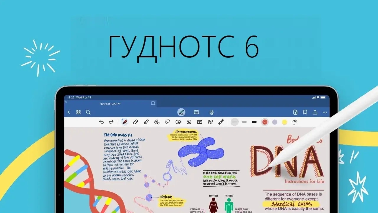 GudNots 6 iPhone iPad AppStore Годовая Подписка Аккаунт