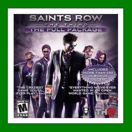 Saints Row: The Third - The Full Package Steam (офлайн) купить