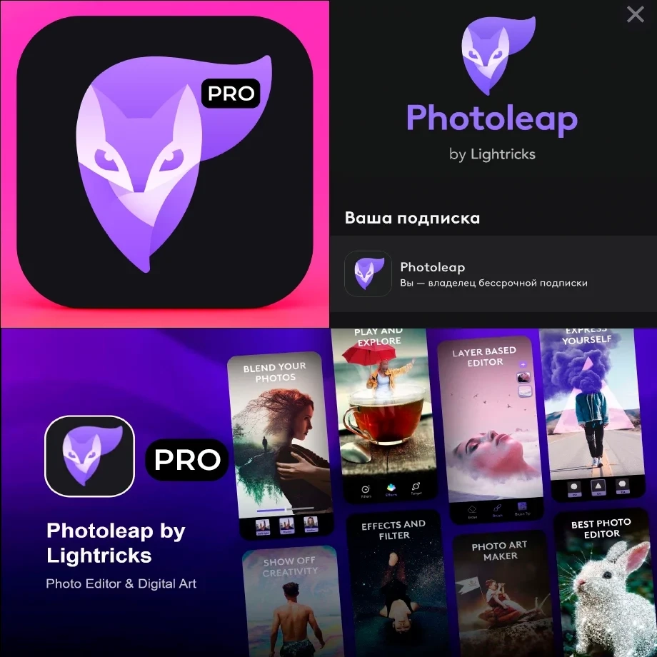 Аккаунт Photoleap Pro с подпиской на год - iOS