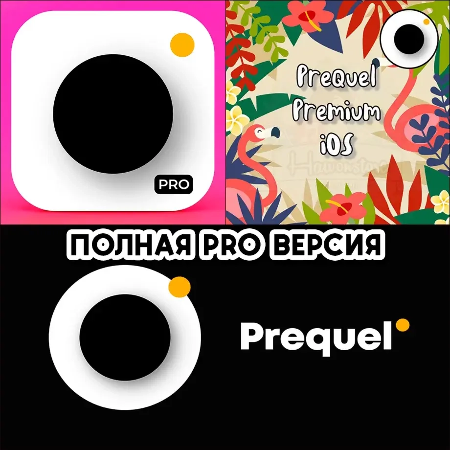 Prequel Редактор Фото и Видео PRO — подписка на 1 год для iOS