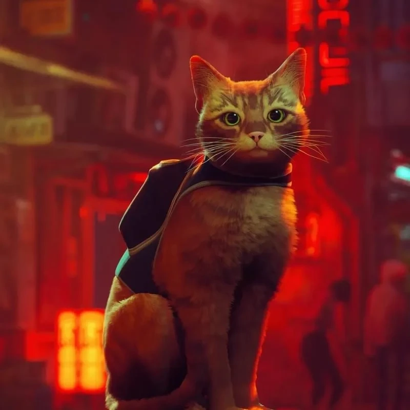 STRAY Xbox One & Series X|S - Цифровая копия онлайн