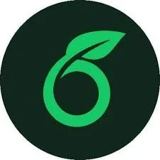 Overleaf Pro Аккаунт: Профессиональное решение онлайн