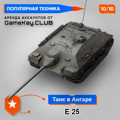 Мир Танков: Аккаунт с E 25 (Lesta.ru) - Аренда
