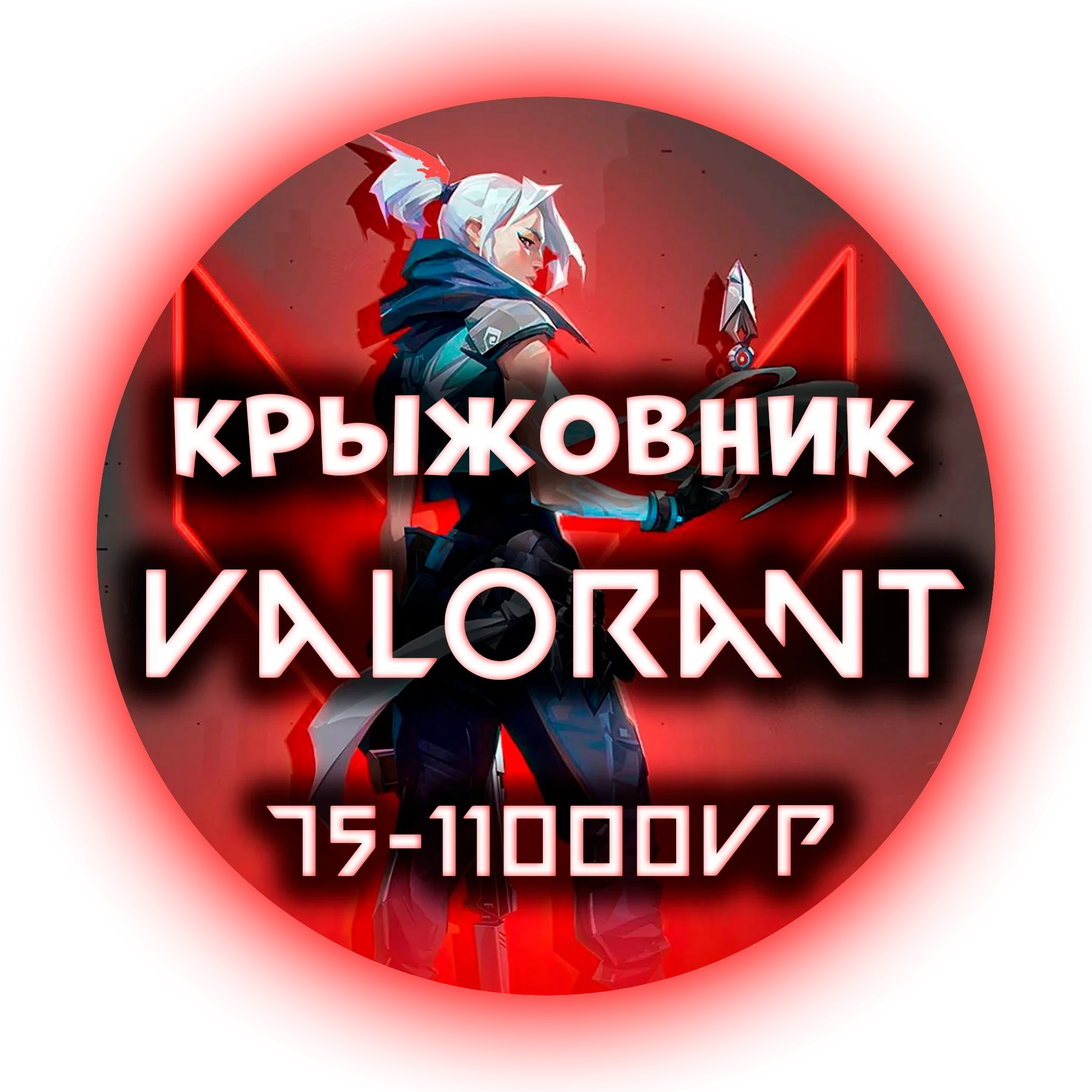 Коды Valorant VP Россия (240-11000) - Купить онлайн