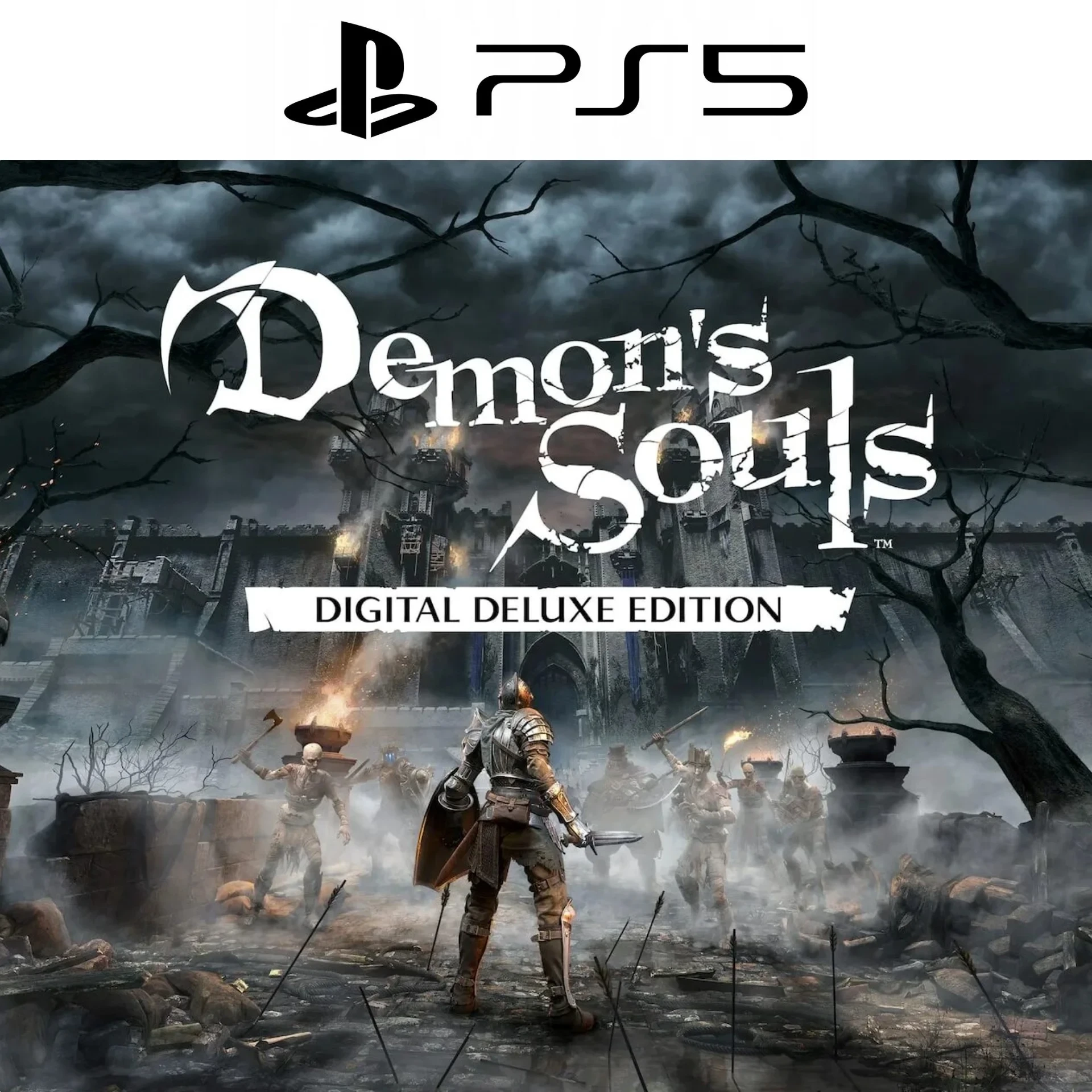 Demons Souls Digital Deluxe PS5 аренда онлайн | PlayStation