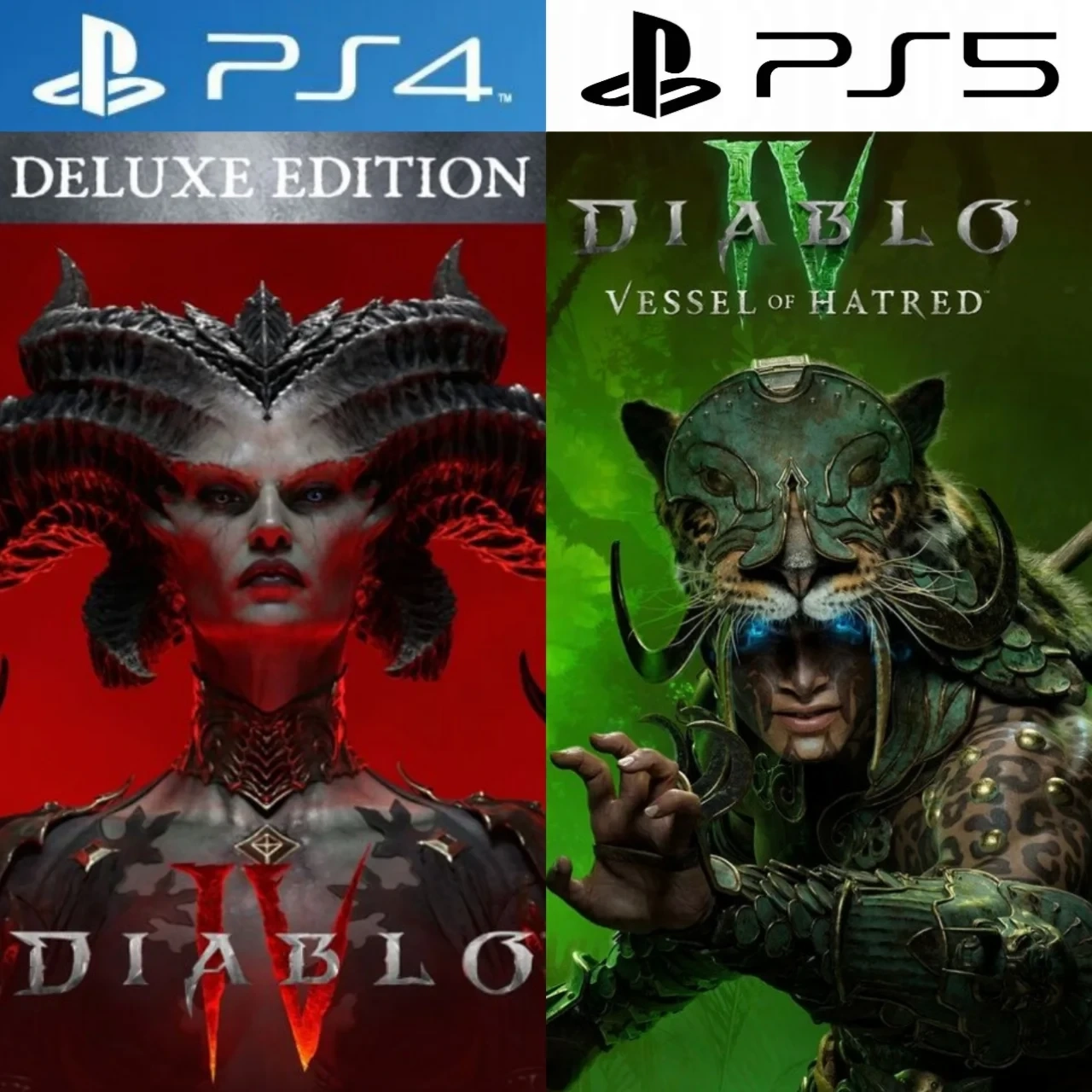 Diablo 4 + DLC PS4/PS5: Аренда игры онлайн