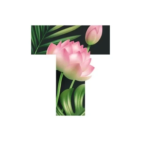 Аккаунт Text: Текст на фото шрифты арт PRO для iOS — подписка на год