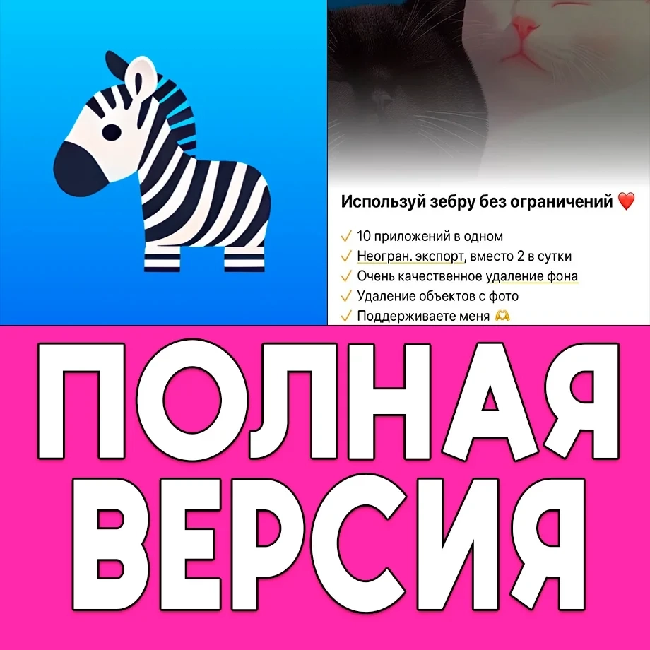 Zebra Блюр PRO (iOS): Аккаунт AppStore с подпиской