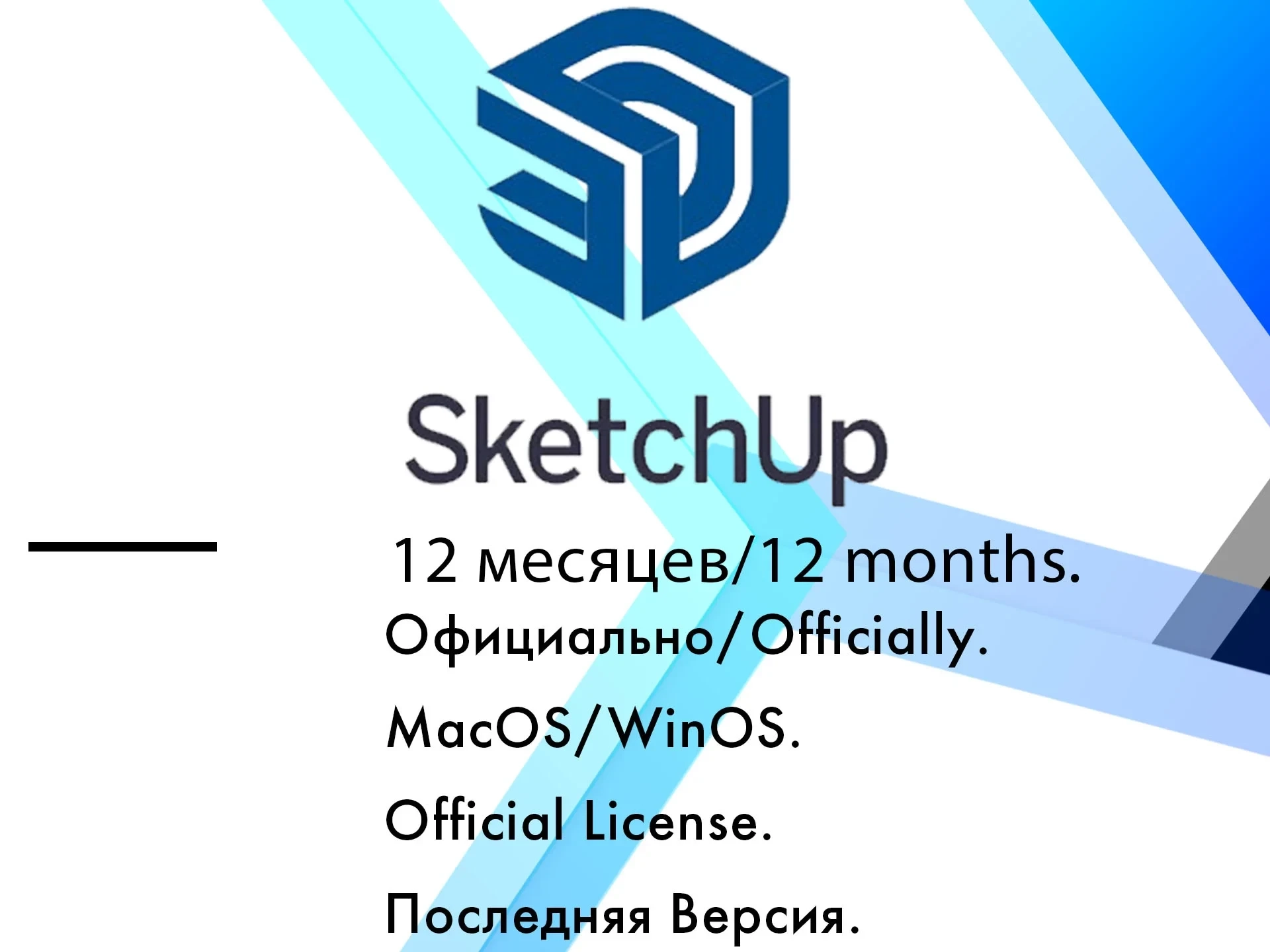 SketchUp Pro 2025 Лицензия 12 мес | Аккаунт | Онлайн