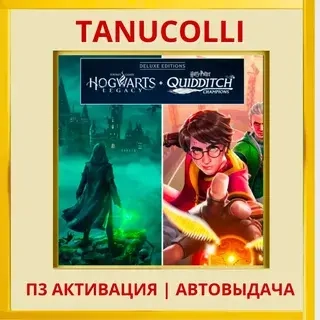 Hogwarts + Harry Potter Quidditch PS4/PS5 (RU Акти...