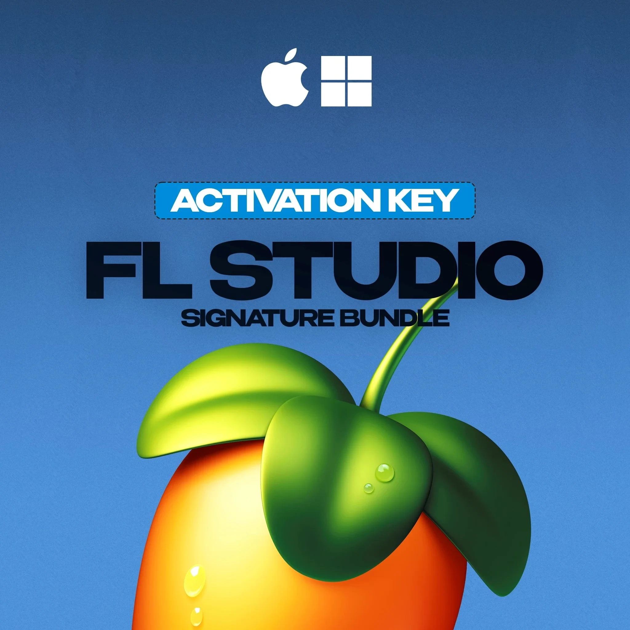 FL Studio 2025 Signature Bundle: Купить активацию онлайн