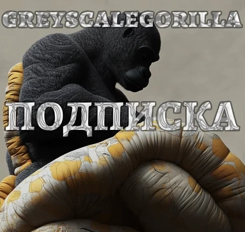 Аккаунт GreyscaleGorilla Plus | Подписка Cinema 4D - Онлайн