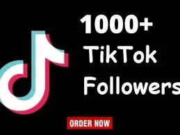TikTok Аккаунты | 1000 Подписчиков | Email | Онлайн
