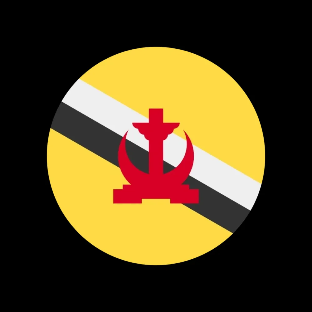 eSIM Бруней: быстрый интернет. Купить сим-карту онлайн.