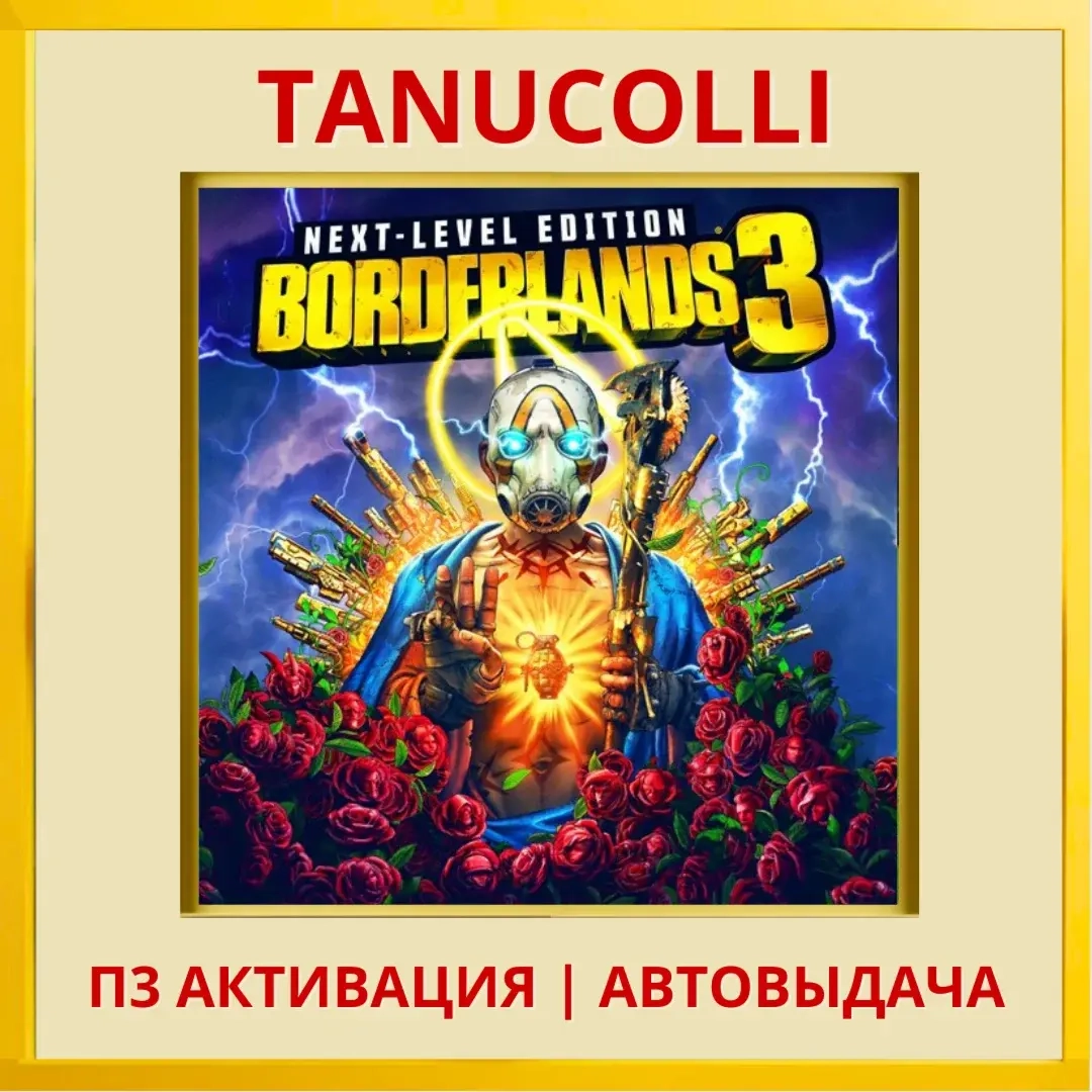Borderlands 3 Next Level PS4/PS5 (RU) Активация П3