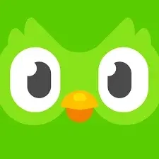 Duolingo Plus подписка на год – купить онлайн