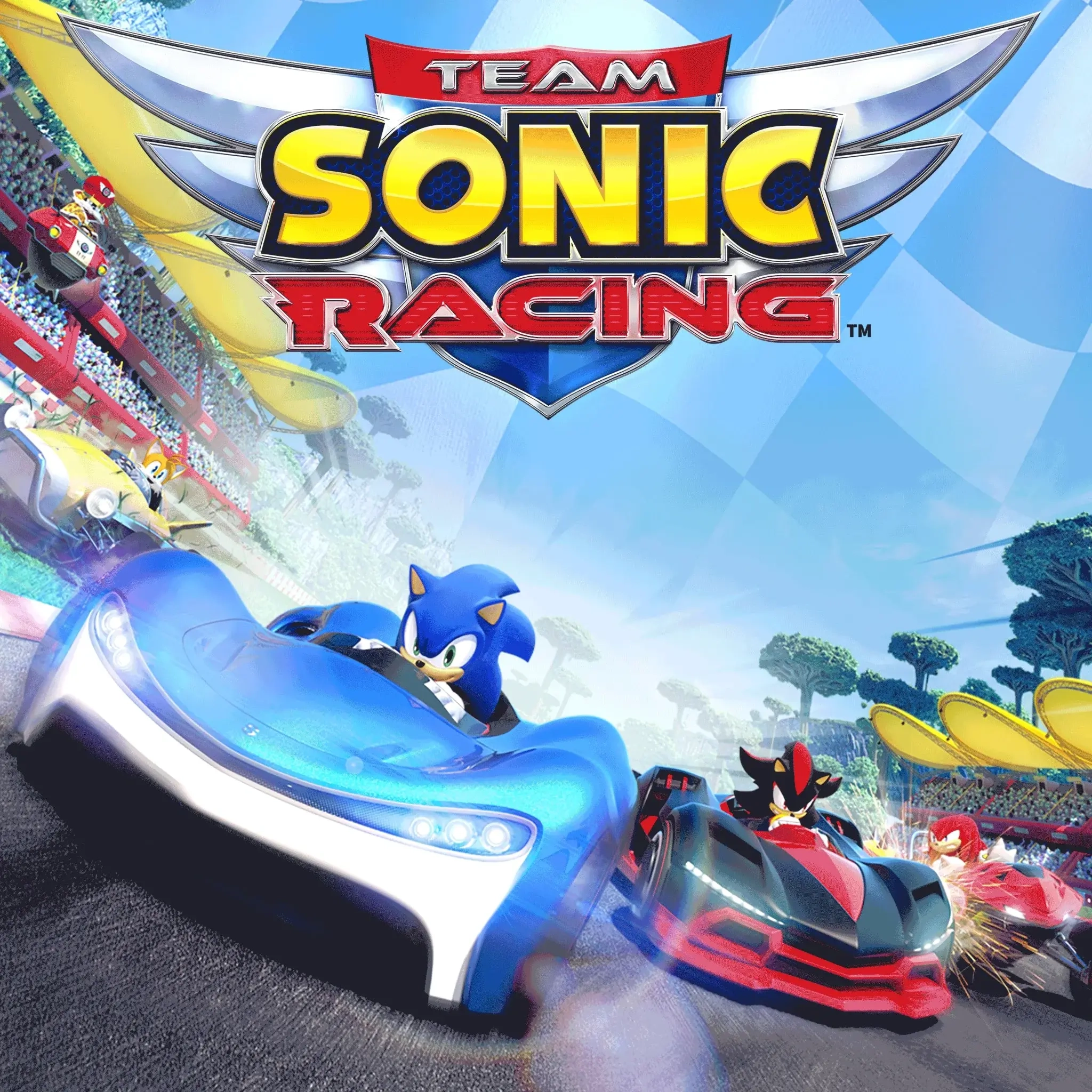 TEAM SONIC RACING PS4/PS5 – П2 и П3, цифровой аккаунт PlayStation (Онлайн)