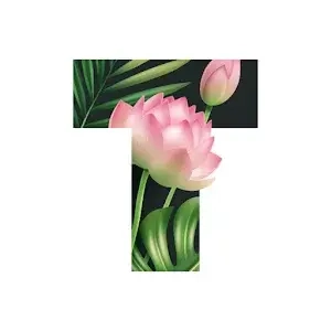 Текст Стильные шрифты PRO 1 ГОД iPhone ios (Аккаунт)